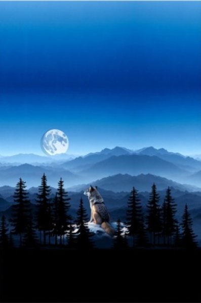 Stoff Panel 3er Wolf Wölfe blau